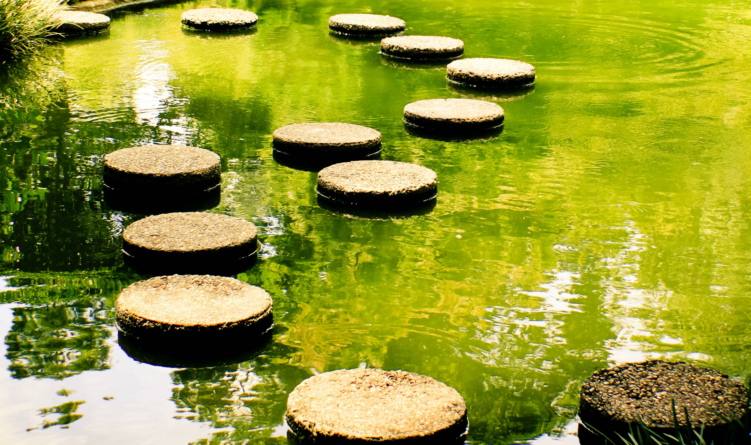 An Overview of Stepping stones - Decorifusta