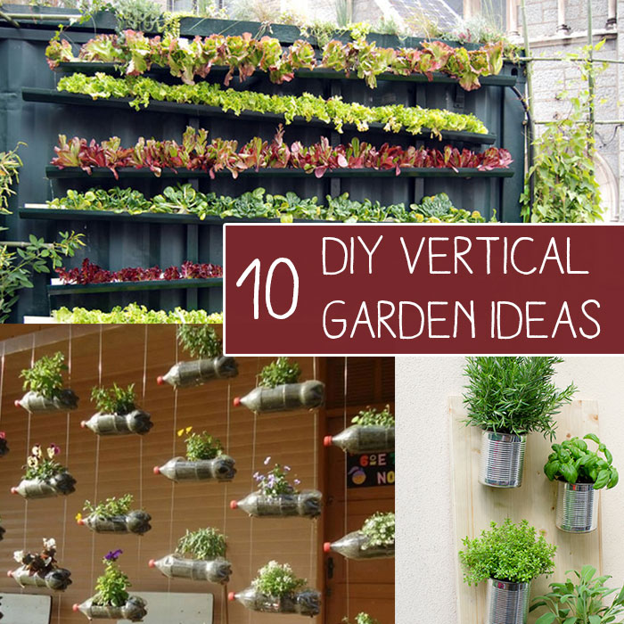 How To Grow Vegetables In Vertical, Vertical Gardening Ideas
