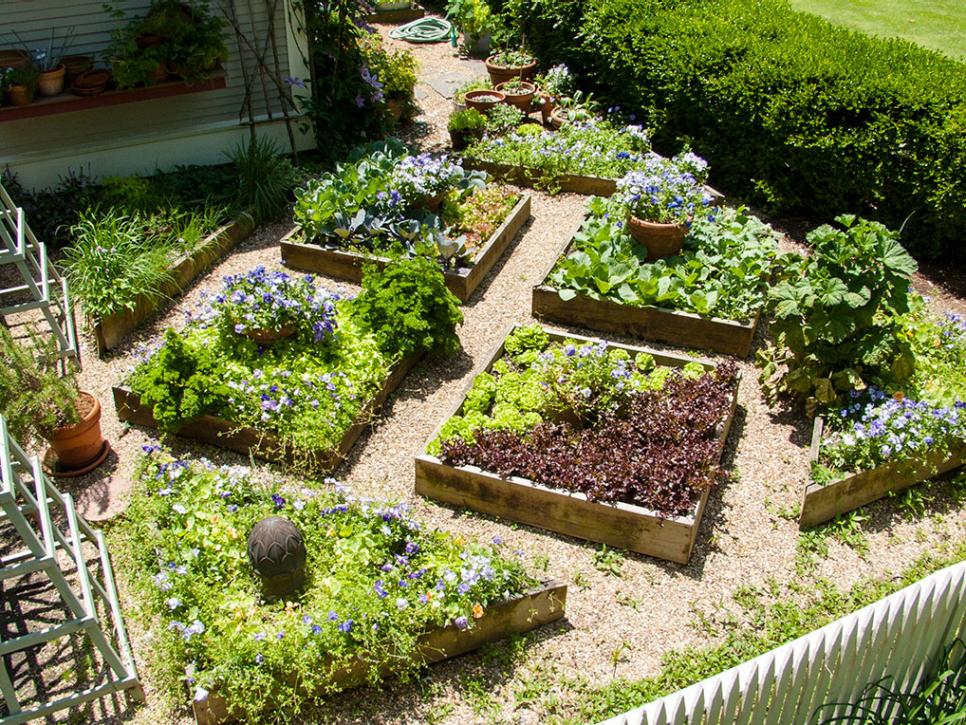 Edible Landscaping Decorifusta, Edible Garden Design