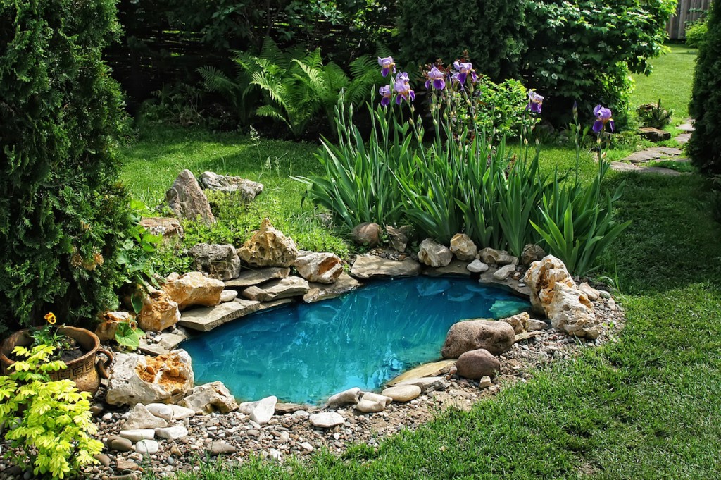 Use Of Garden Pond And Its Benefits, Small Garden Pond Design Ideas